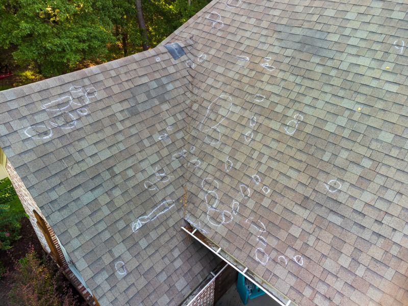 Asphalt Roof Inspection in Fairfax County, VA