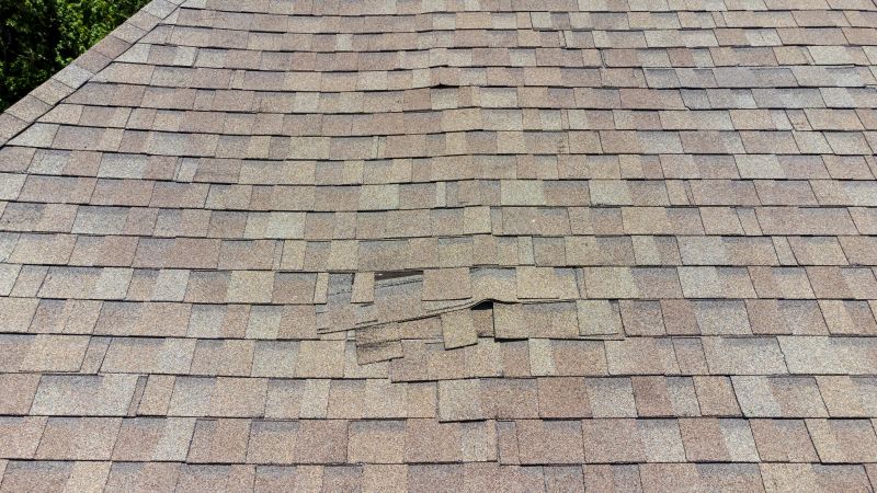Asphalt Roof Inspection in Oxon Hill, MD