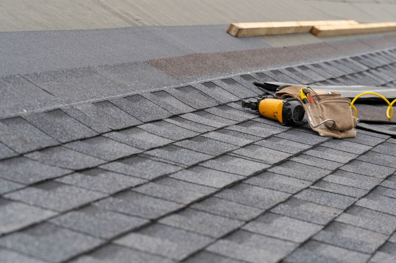 Asphalt Roof Repair in Chesapeake Beach, MD