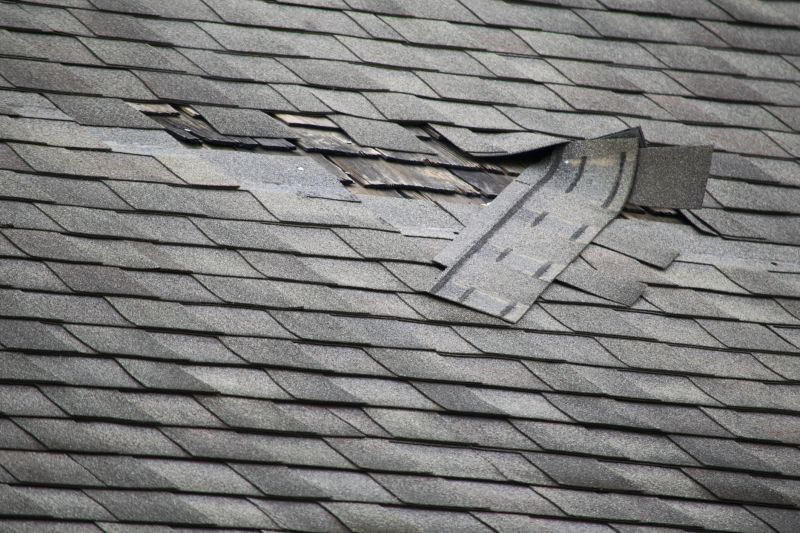 Asphalt Roof Repair in Upper Marlboro, MD