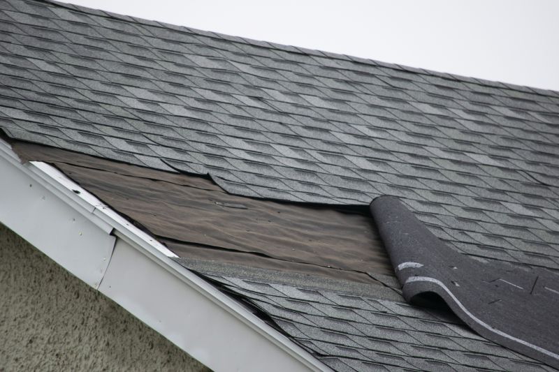 Asphalt Shingles Repair in Newburg, MD