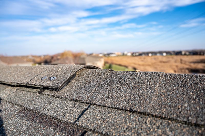 Damaged Roof Repair in Alexandria, VA