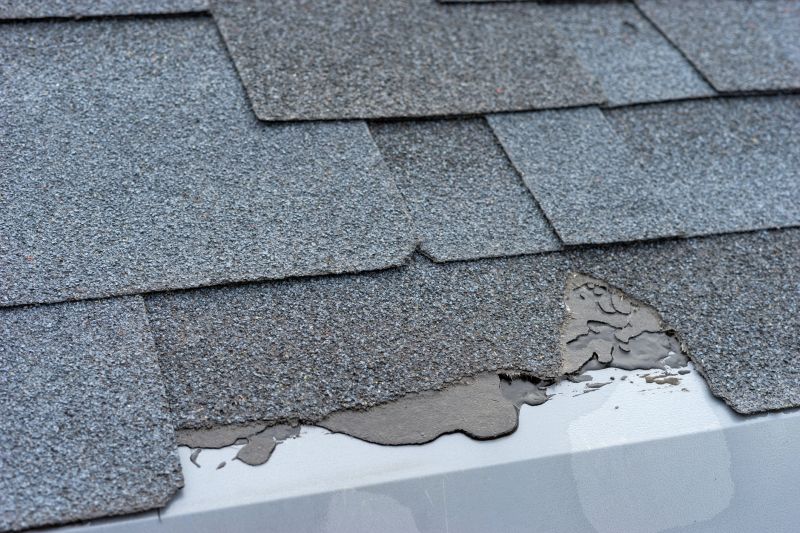 Damaged Roof Repair in Bryans Road, MD