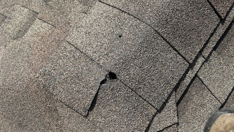Damaged Roof Repair in Chesapeake Beach, MD