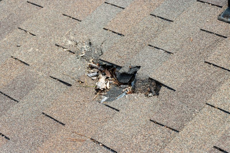 Damaged Roof Replacement in Fort Washington, MD