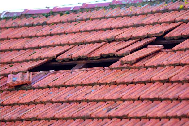 Roof Damage Inspection in Brandywine, MD
