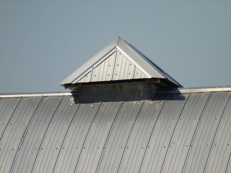 Tin Roof Installation in Deale, MD